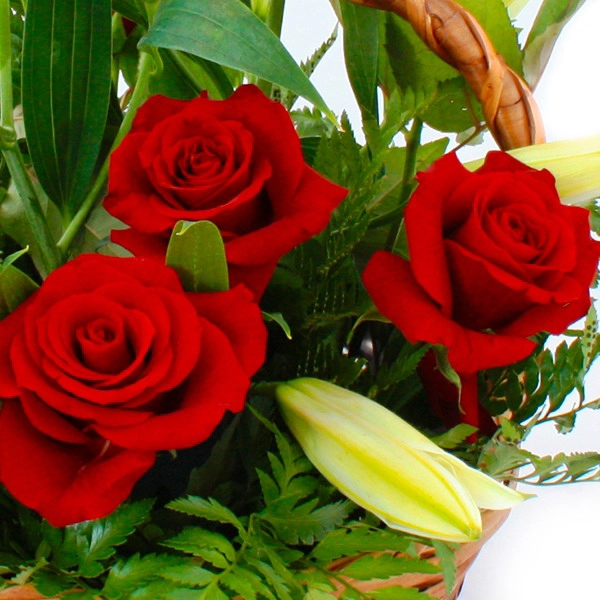 Букет красных роз в корзине - Добрая сказка